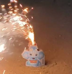 Elephant Shower